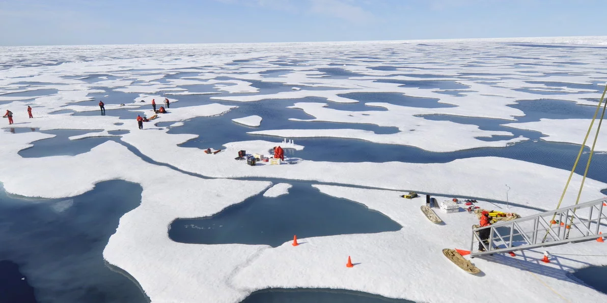 frontiers-marine-science-arctic-algae-under-ice-bloom cropped.jpeg